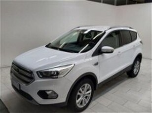 Ford Kuga 1.5 TDCI 120 CV S&S 2WD Titanium Business del 2019 usata a Cuneo