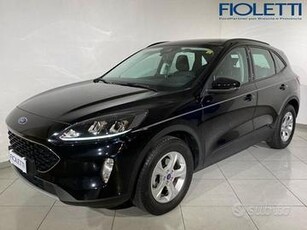 Ford Kuga 3nd SERIE 1.5 ECOBOOST 120 CV 2WD C...