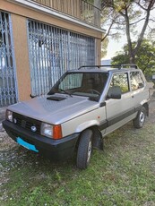 Usato 2001 Fiat Panda 1.1 El_Hybrid 54 CV (4.500 €)