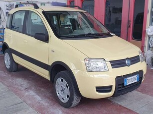 Usato 2006 Fiat Panda 4x4 1.2 LPG_Hybrid 60 CV (4.600 €)