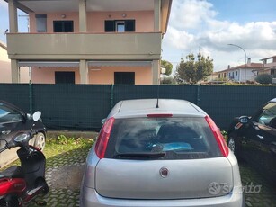 Usato 2009 Fiat Punto 1.2 Diesel 80 CV (2.300 €)