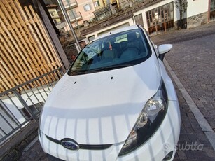 Usato 2010 Ford Fiesta 1.4 LPG_Hybrid (4.000 €)