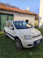 Usato 2012 Fiat Panda 4x4 Diesel (7.500 €)