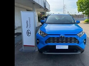 Usato 2019 Toyota RAV4 EV El 222 CV (24.990 €)