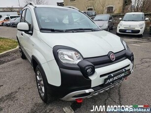 Usato 2020 Fiat Panda 4x4 0.9 Benzin 84 CV (14.900 €)