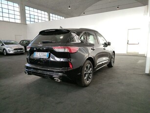 Usato 2020 Ford Kuga 2.0 El_Hybrid 150 CV (22.000 €)