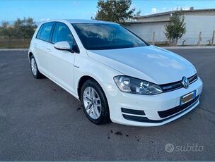 Volkswagen Golf 7 Bluemotion Bianca Perfetta