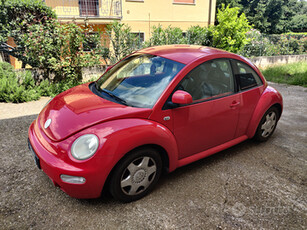 Volkswagen New Beetle