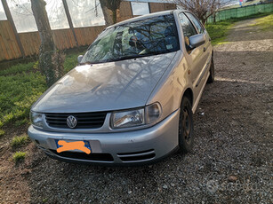 Volkswagen Polo neopatentati