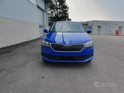 Usato 2019 Skoda Fabia 1.0 Benzin 75 CV (9.200 €)