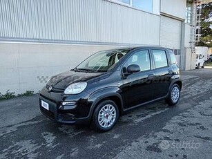 FIAT Panda My24 1.0 Hybrid 70cv