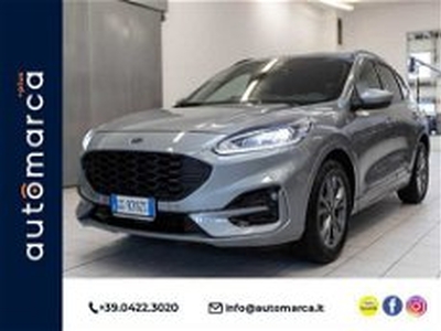 Ford Kuga 1.5 EcoBoost 150 CV 2WD ST-Line del 2021 usata a Silea