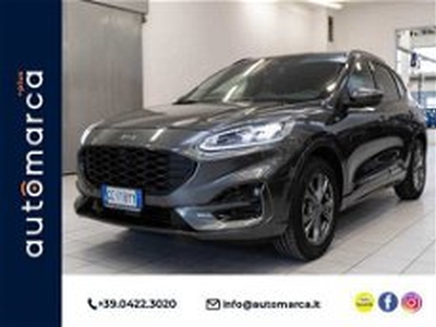 Ford Kuga 1.5 EcoBoost 150 CV 2WD ST-Line X del 2020 usata a Silea