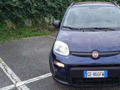 Fiat Panda 1.0 FireFly S&S Hybrid City Life San Giorgio a Liri