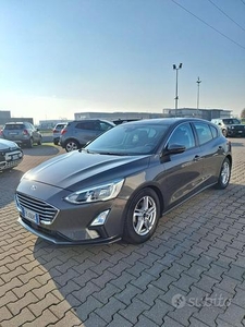 FORD Focus 1.5 EcoBlue 120 CV automatico 5p. Bus