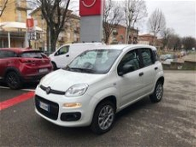 Fiat Panda 0.9 TwinAir Turbo Natural Power Easy del 2019 usata a Casalgrande