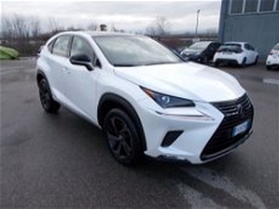 Lexus NX Hybrid 4WD Sport del 2019 usata a Piacenza