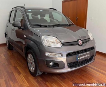 Fiat Panda 1.2 Easy Afragola