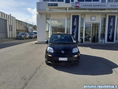 Fiat Panda PROMO FINANZIAMENTO 1.0 S&S Hybrid City Life Borgo San Lorenzo