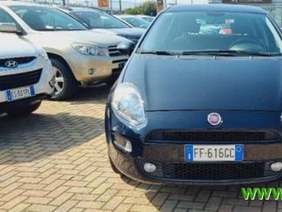 Fiat Punto 1.2 8V 5 porte Street Savona