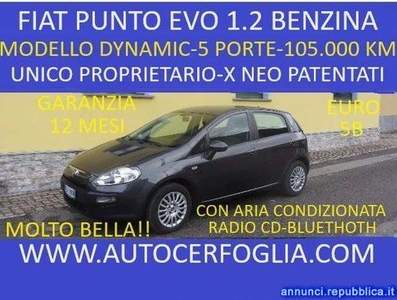 Fiat Punto 5p 1.2 Dynamic 65cv-X NEO PATENTATI!! Samolaco