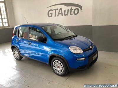 Fiat Panda 1.0 FireFly S&S Hybrid adatta ai neopatentati Alessandria