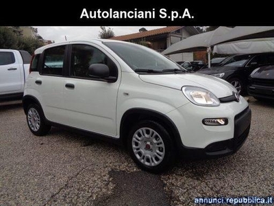 Fiat Panda 1000 HYBRID PANDA 70CV KM 0 Roma