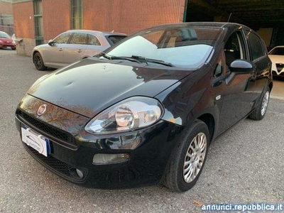 Fiat Punto OK NEOPATENTATI Suisio