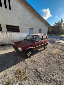 Usato 1992 Fiat Panda 4x4 1.0 Benzin 50 CV (3.000 €)