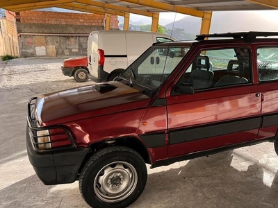 Usato 1993 Fiat Panda 4x4 1.0 Benzin 50 CV (4.399 €)