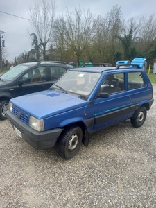 Usato 1994 Fiat Panda 4x4 1.1 LPG_Hybrid 50 CV (6.000 €)