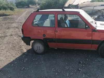 Usato 1996 Fiat Panda 0.9 Benzin 39 CV (1.000 €)