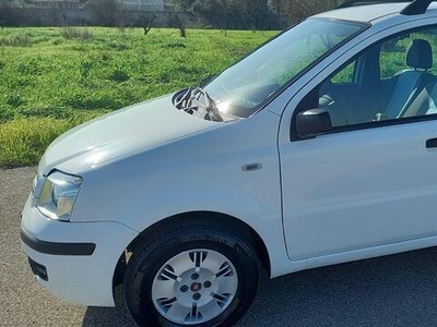 Usato 2006 Fiat Panda 1.2 Diesel 69 CV (3.500 €)