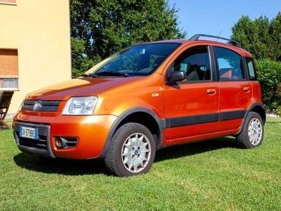 Usato 2009 Fiat Panda 4x4 1.2 LPG_Hybrid 60 CV (6.500 €)