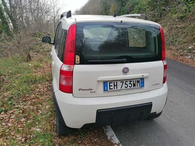 Usato 2011 Fiat Panda 4x4 1.2 Diesel 75 CV (7.000 €)