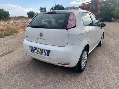 Usato 2012 Fiat Punto Evo 1.2 Diesel 75 CV (6.500 €)