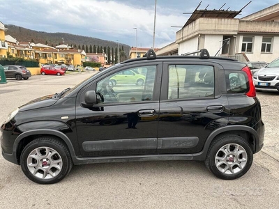 Usato 2014 Fiat Panda 4x4 1.2 Diesel 75 CV (8.900 €)