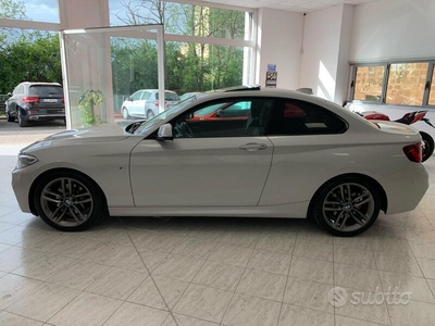 Usato 2015 BMW 225 2.0 Diesel 224 CV (19.500 €)