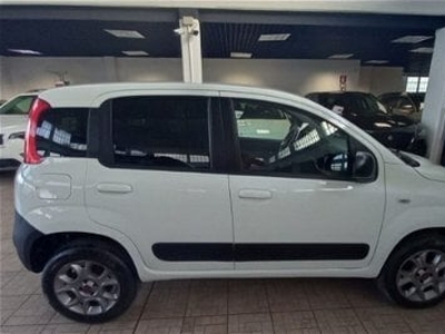 Usato 2016 Fiat Panda 1.2 Diesel 75 CV (8.990 €)