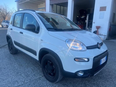 Usato 2017 Fiat Panda 4x4 0.9 Benzin 86 CV (13.000 €)