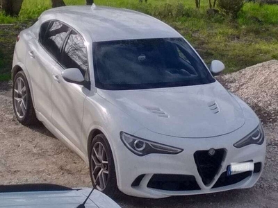 Usato 2018 Alfa Romeo Stelvio 2.1 Diesel 210 CV (30.000 €)