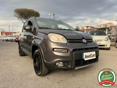 Usato 2018 Fiat Panda 4x4 0.9 Benzin 85 CV (10.990 €)