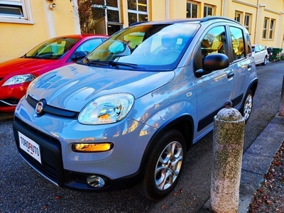 Usato 2018 Fiat Panda 4x4 1.2 Diesel 95 CV (17.900 €)