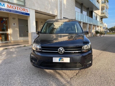 Usato 2018 VW Caddy 2.0 Diesel 102 CV (18.000 €)