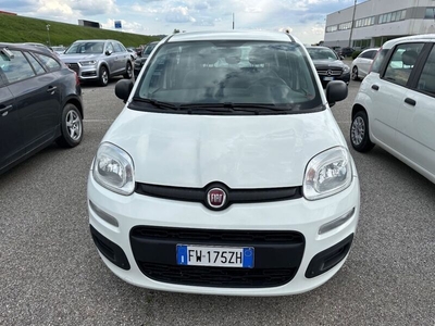 Usato 2019 Fiat Panda 1.2 Diesel 95 CV (9.000 €)