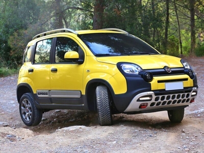 Usato 2019 Fiat Panda 4x4 0.9 Benzin 84 CV (15.500 €)