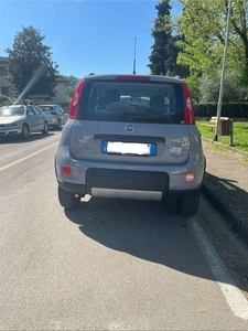 Usato 2019 Fiat Panda 4x4 0.9 Benzin 86 CV (14.000 €)