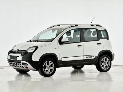Usato 2019 Fiat Panda Cross 0.9 Benzin 84 CV (16.800 €)