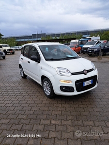 Usato 2019 Fiat Panda LPG_Hybrid (9.500 €)