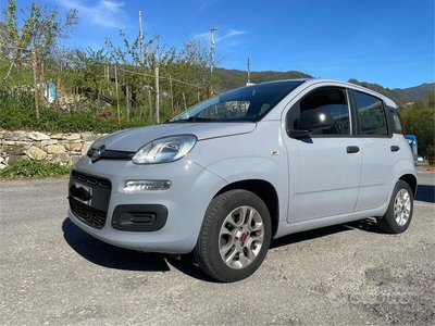 Usato 2020 Fiat Panda 1.2 Benzin 69 CV (10.800 €)